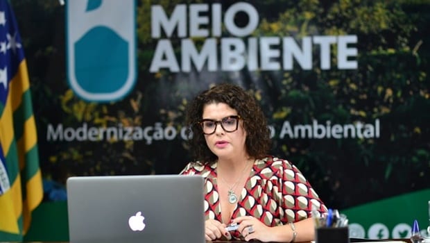 Andréia Vulcanis