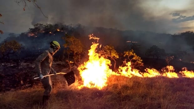 El Niño deve provocar o aumento no número de queimdas em Goiás l Foto: Semad/GO