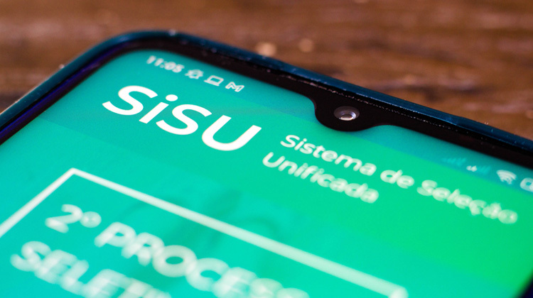 Sisu