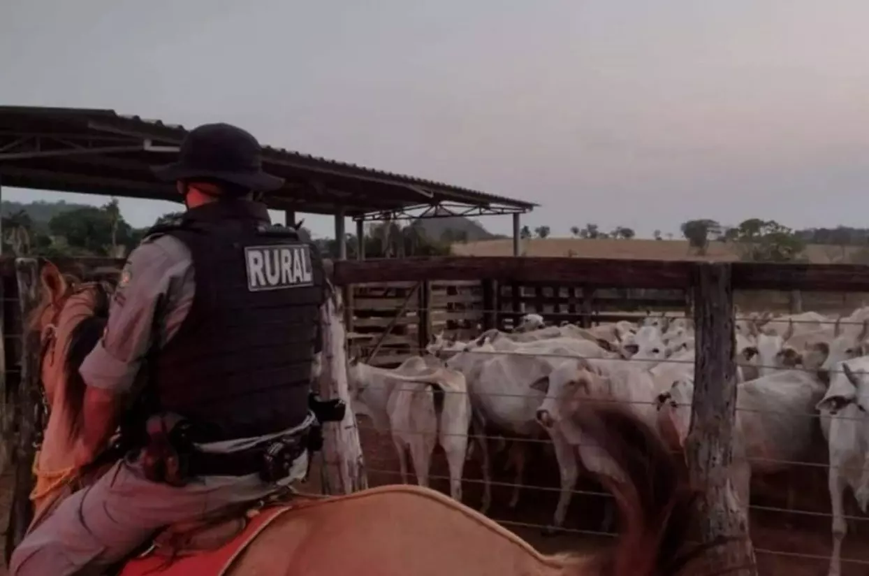 Furtos e roubos de gado são constantes no interior de Goiás | Foto: PM-GO