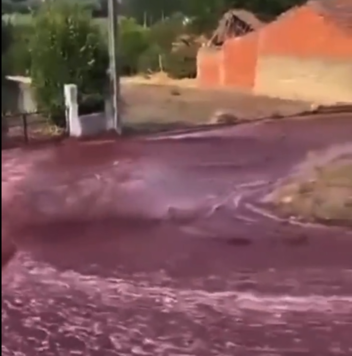 vinho Portugal