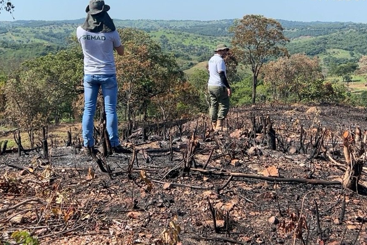 Desmatamento Goiás