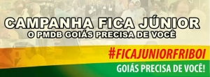 folder volta friboi ok