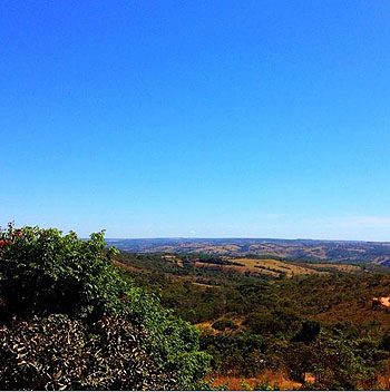 A foto que causou indignação: paisagem de Cerrado que o jornalista Luiz Bacci creditou como sendo uma imagem de Goiânia | Fotos: Divulgação/Twitter
