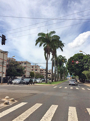 Empresa vencedora será responsável por corredores da Avenida 85 (foto), T-9, T-63, Independência e 24 de Outubro