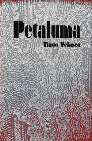 Os contos de “Petaluma” guardam o compromisso de defender uma proposta e se saem tão bem quanto o autor, seguro na construção e na condução de sua prosa Foto: Reprodução