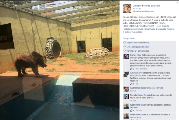 urso-OK