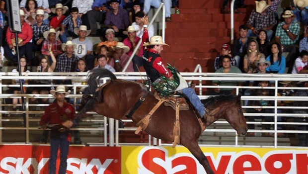 Profissão Atletas De Rodeio