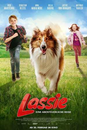 Lassie rin tin sales tin