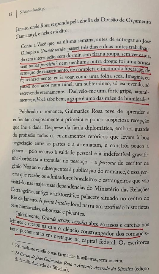 retira a quem escreve sua caneta: guimarães rosa ea  - FALE