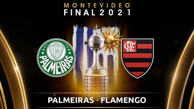 Final da Libertadores: como assistir Palmeiras x Flamengo online  gratuitamente - TV História