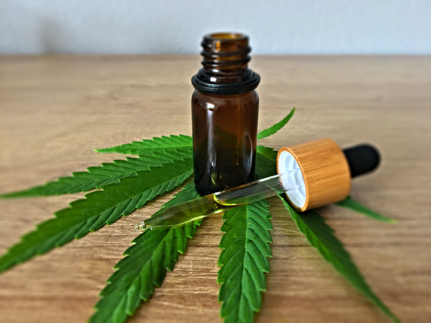 cannabis-remedio-tratamento