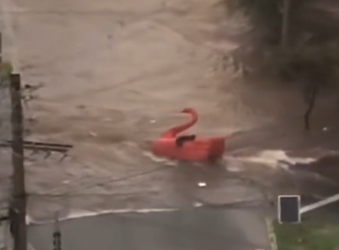 Pedalinhos do Lago das Rosas escaparam com alto volume de água das chuvas | Foto: Reprodução/Twitter