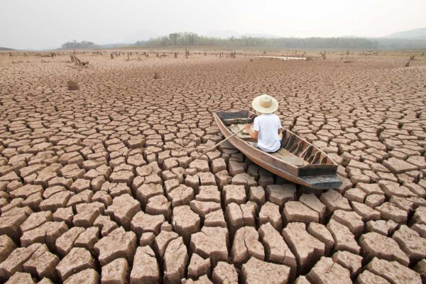 A pesquisa aponta as perdas e danos do clima | Foto: reprodução