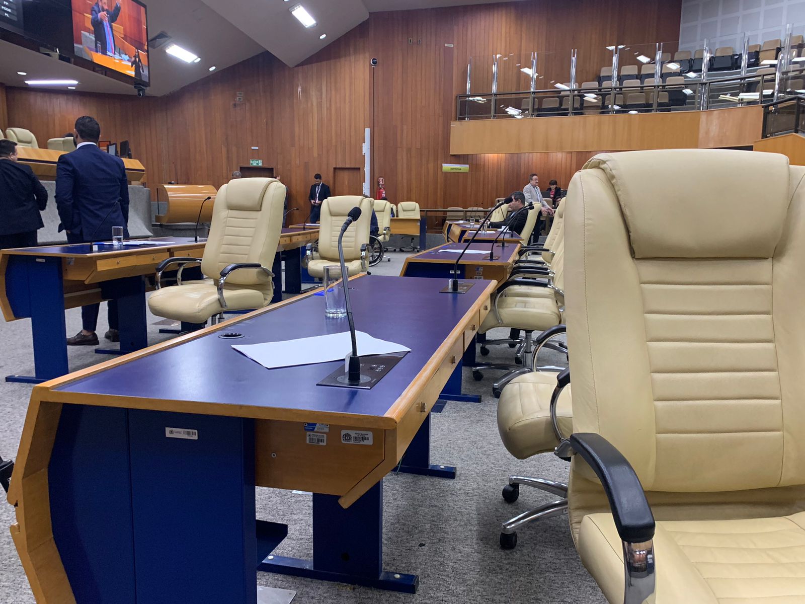 Plenário da Câmara Municipal de Goiânia | Foto: Jornal Opção