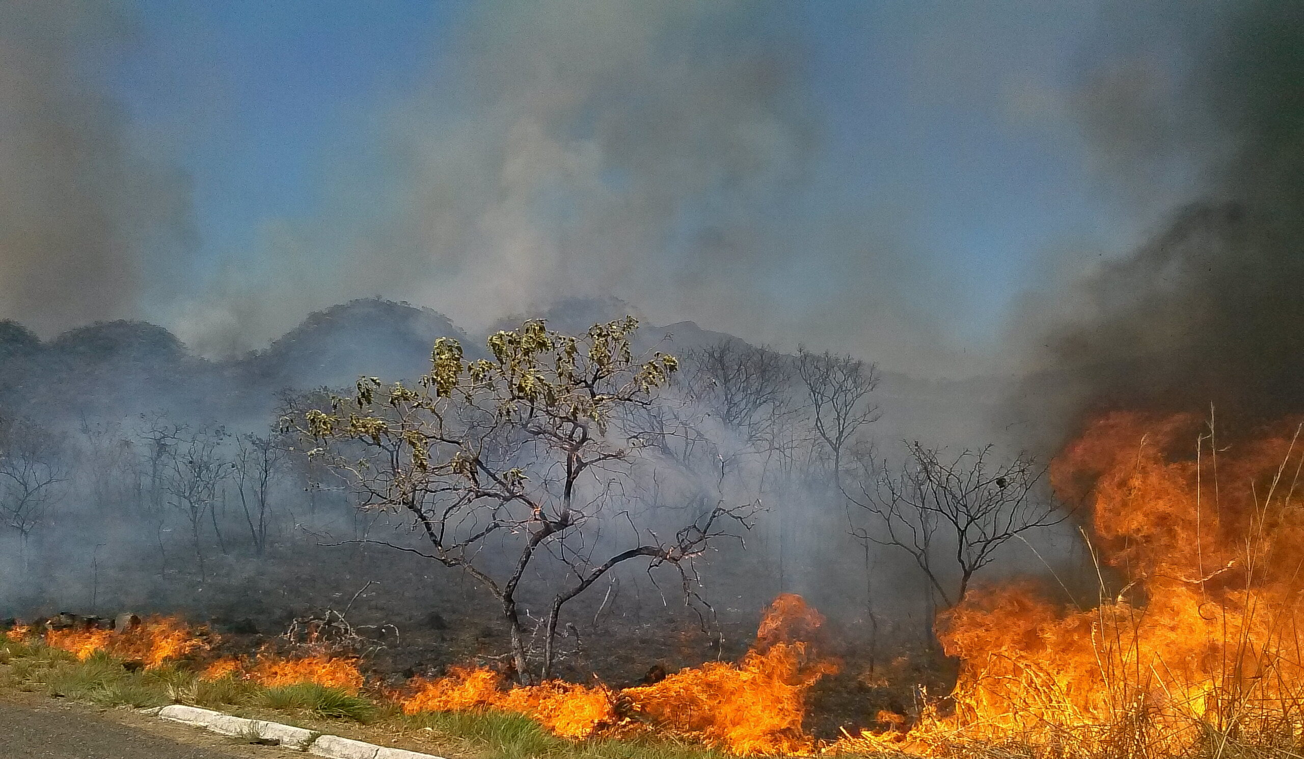 DF emite alerta para queimadas até o fim do período de seca na região