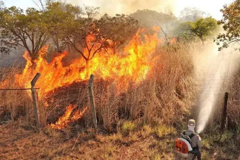 Impactos das mudanças climáticas no Tocantins: vozes e soluções locais -  Jornal Opção