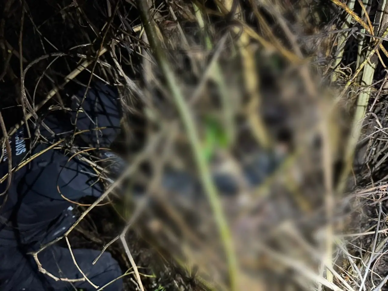 Corpo de corretora desaparecida em Caldas Novas é encontrado; polícia prende suspeitos