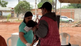 cachorro vacina sangue castração