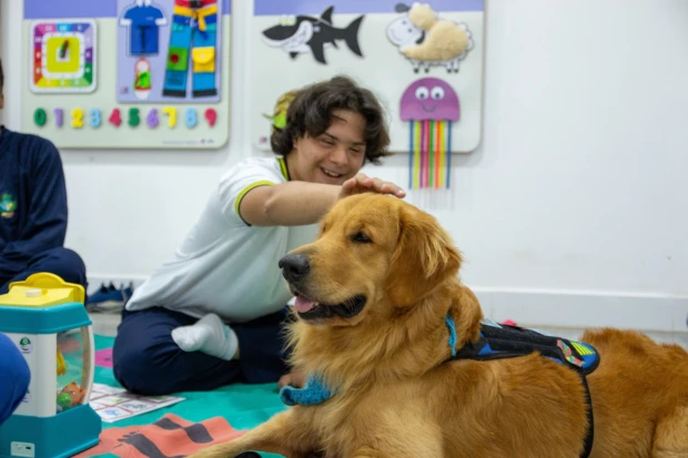 Instituto C.U.R.A.A. e seu impacto nas escolas públicas com cães de assistência
